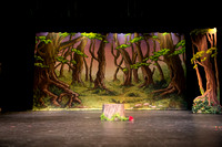 2014 Solo Opera: Hansel & Gretel